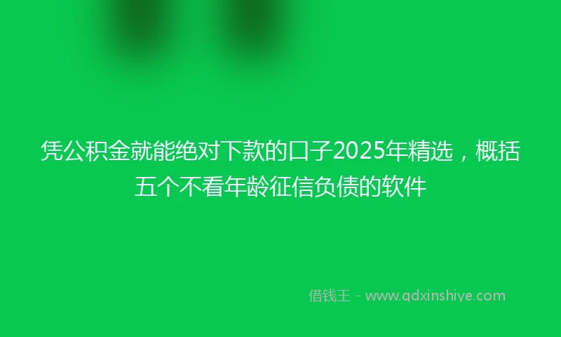 凭公积金就能绝对下款的口子2025年精选，概括五个不看年龄征信负债的软件