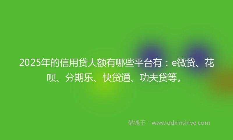 2025年的信用贷大额有哪些平台有：e微贷、花呗、分期乐、快贷通、功夫贷等。