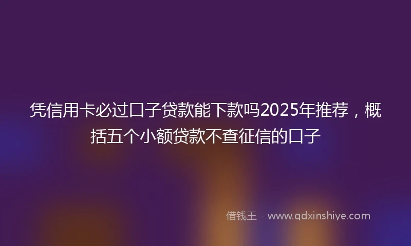 凭信用卡必过口子贷款能下款吗2025年推荐，概括五个小额贷款不查征信的口子
