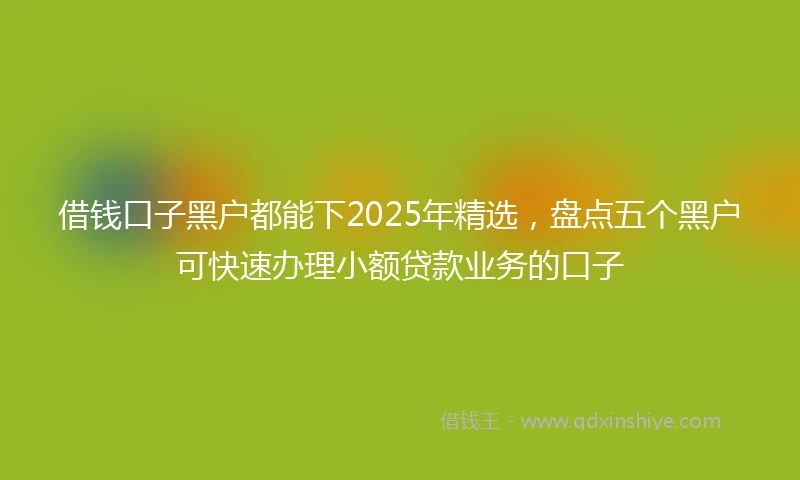 借钱口子黑户都能下2025年精选，盘点五个黑户可快速办理小额贷款业务的口子