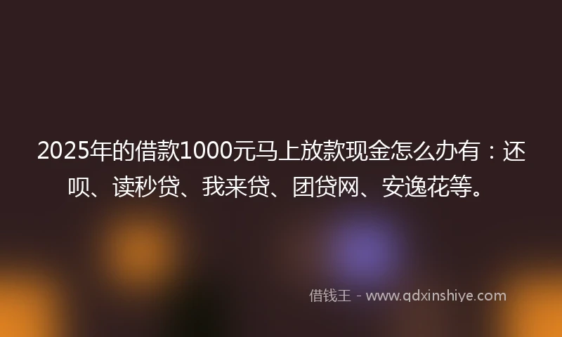 2025年的借款1000元马上放款现金怎么办有：还呗、读秒贷、我来贷、团贷网、安逸花等。
