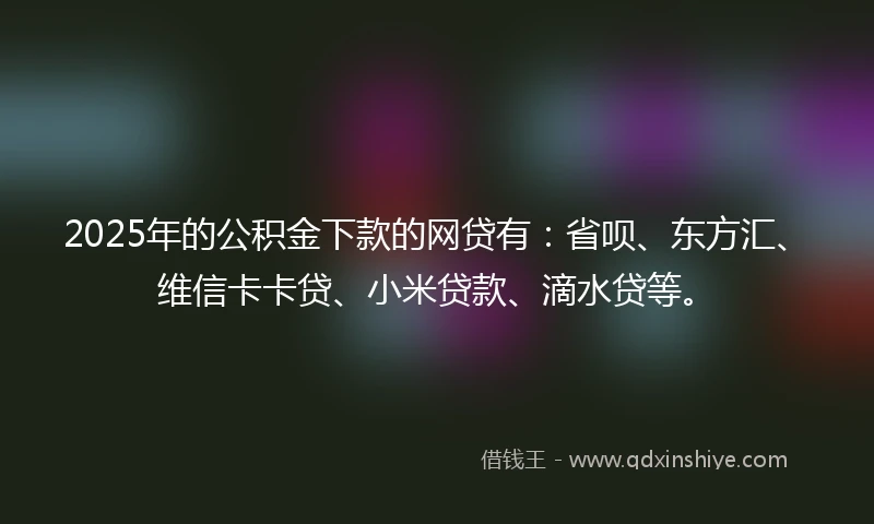 2025年的公积金下款的网贷有：省呗、东方汇、维信卡卡贷、小米贷款、滴水贷等。