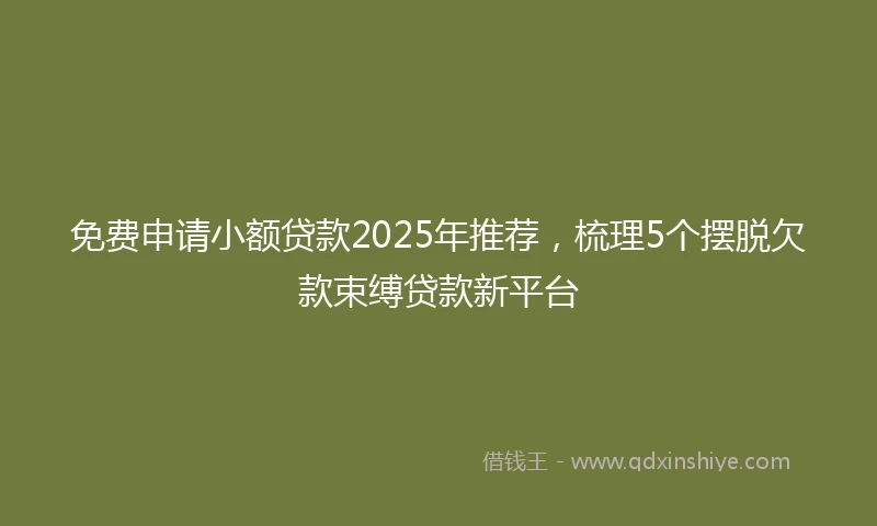 免费申请小额贷款2025年推荐，梳理5个摆脱欠款束缚贷款新平台