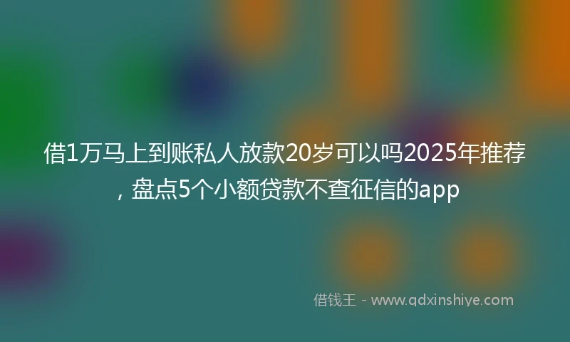 借1万马上到账私人放款20岁可以吗2025年推荐，盘点5个小额贷款不查征信的app