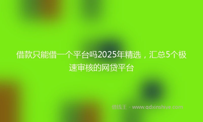 借款只能借一个平台吗2025年精选，汇总5个极速审核的网贷平台