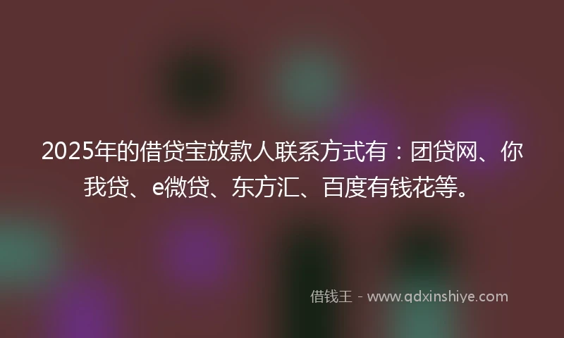 2025年的借贷宝放款人联系方式有：团贷网、你我贷、e微贷、东方汇、百度有钱花等。