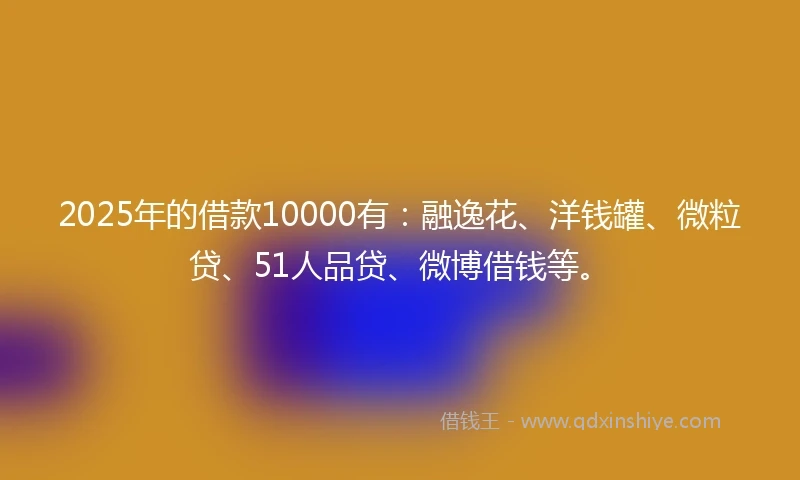 2025年的借款10000有：融逸花、洋钱罐、微粒贷、51人品贷、微博借钱等。