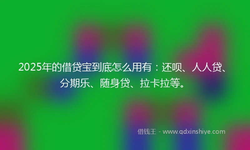 2025年的借贷宝到底怎么用有：还呗、人人贷、分期乐、随身贷、拉卡拉等。