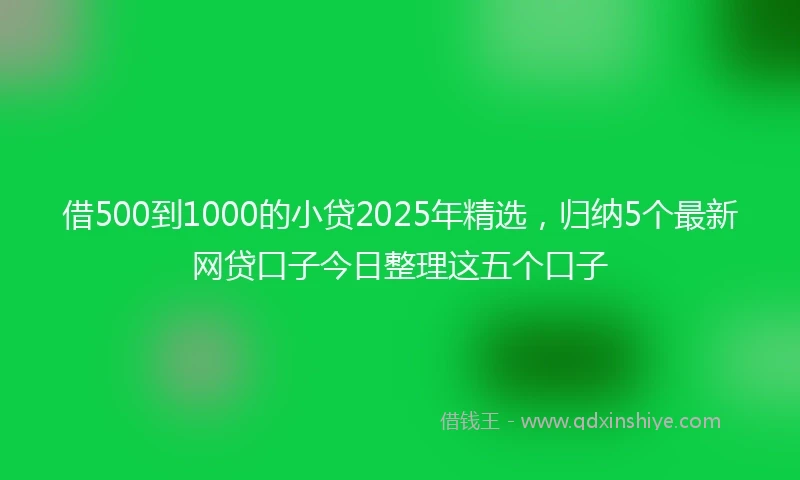 借500到1000的小贷2025年精选，归纳5个最新网贷口子今日整理这五个口子