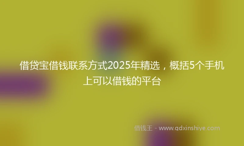 借贷宝借钱联系方式2025年精选，概括5个手机上可以借钱的平台