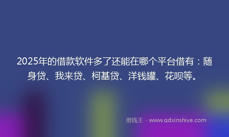 2025年的借款软件多了还能在哪个平台借有：随身贷、我来贷、柯基贷、洋钱罐、花呗等。