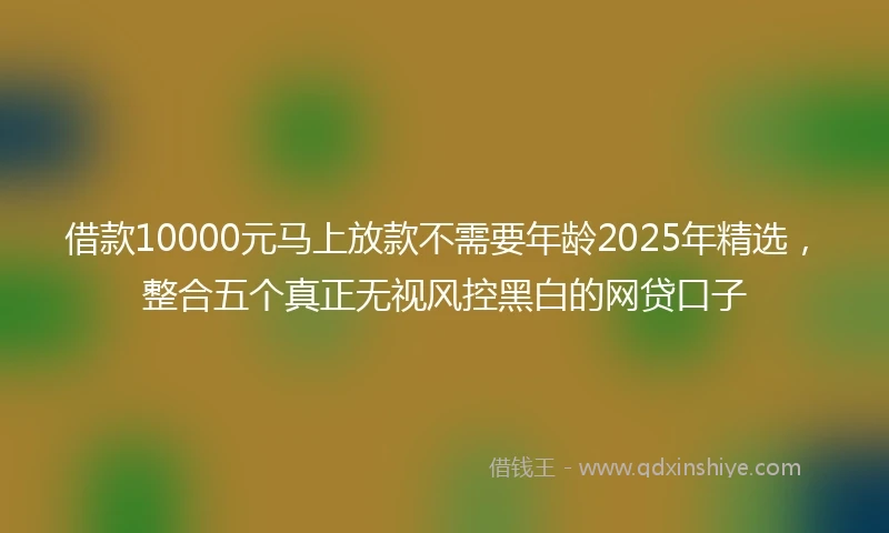 借款10000元马上放款不需要年龄2025年精选，整合五个真正无视风控黑白的网贷口子
