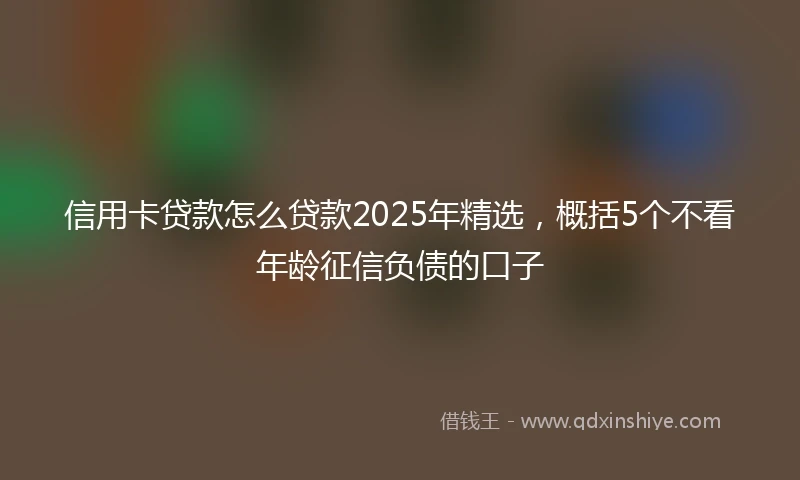 信用卡贷款怎么贷款2025年精选，概括5个不看年龄征信负债的口子