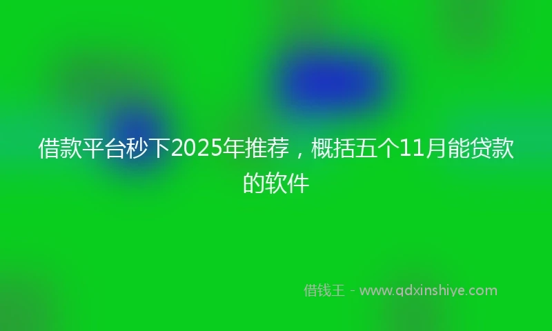 借款平台秒下2025年推荐，概括五个11月能贷款的软件