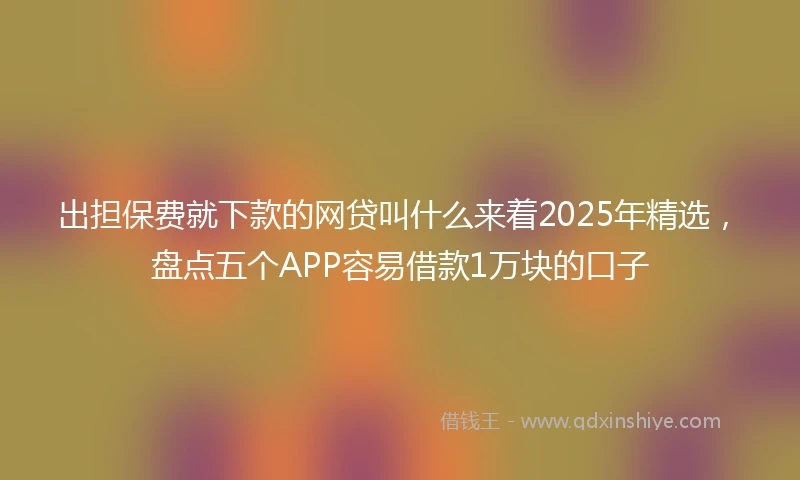 出担保费就下款的网贷叫什么来着2025年精选，盘点五个APP容易借款1万块的口子