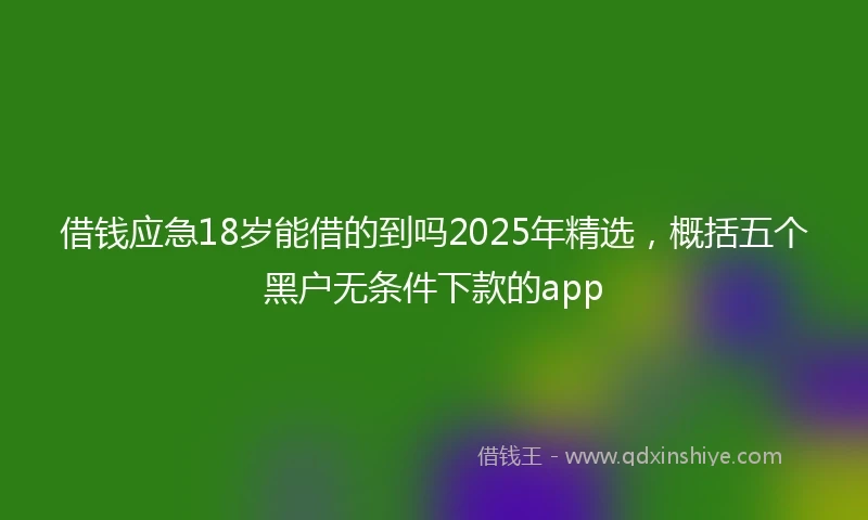 借钱应急18岁能借的到吗2025年精选，概括五个黑户无条件下款的app