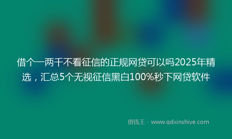 借个一两千不看征信的正规网贷可以吗2025年精选，汇总5个无视征信黑白100%秒下网贷软件