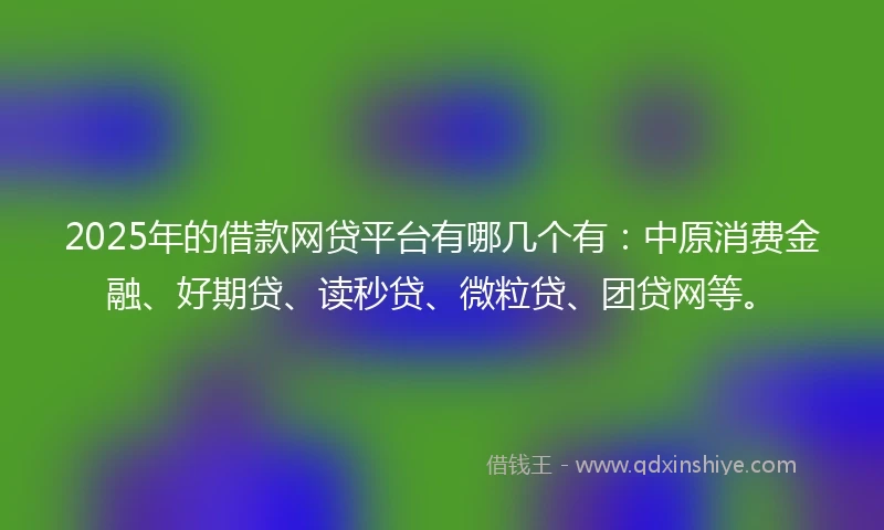 2025年的借款网贷平台有哪几个有：中原消费金融、好期贷、读秒贷、微粒贷、团贷网等。