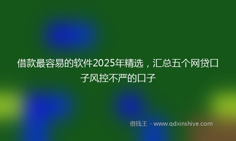 借款最容易的软件2025年精选，汇总五个网贷口子风控不严的口子