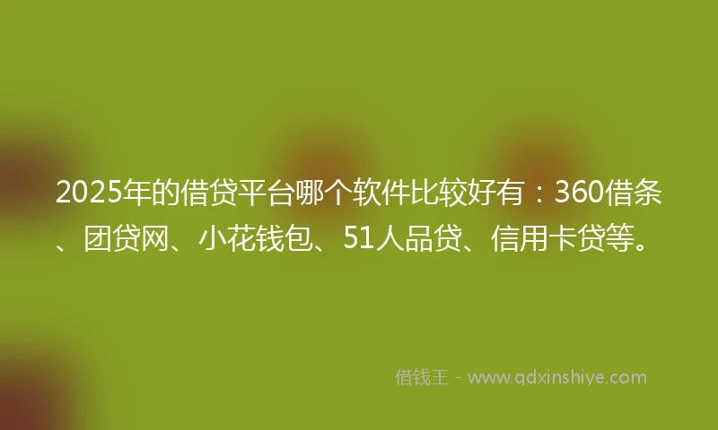 2025年的借贷平台哪个软件比较好有：360借条、团贷网、小花钱包、51人品贷、信用卡贷等。
