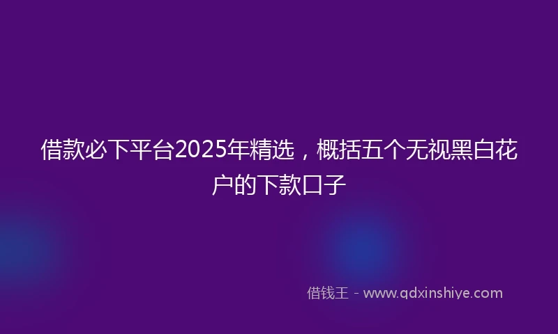 借款必下平台2025年精选，概括五个无视黑白花户的下款口子