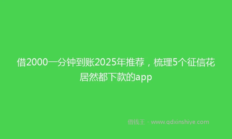 借2000一分钟到账2025年推荐，梳理5个征信花居然都下款的app