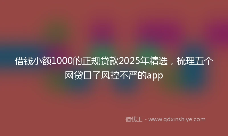 借钱小额1000的正规贷款2025年精选，梳理五个网贷口子风控不严的app