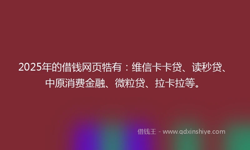 2025年的借钱网页牿有：维信卡卡贷、读秒贷、中原消费金融、微粒贷、拉卡拉等。