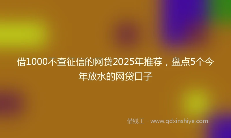 借1000不查征信的网贷2025年推荐，盘点5个今年放水的网贷口子