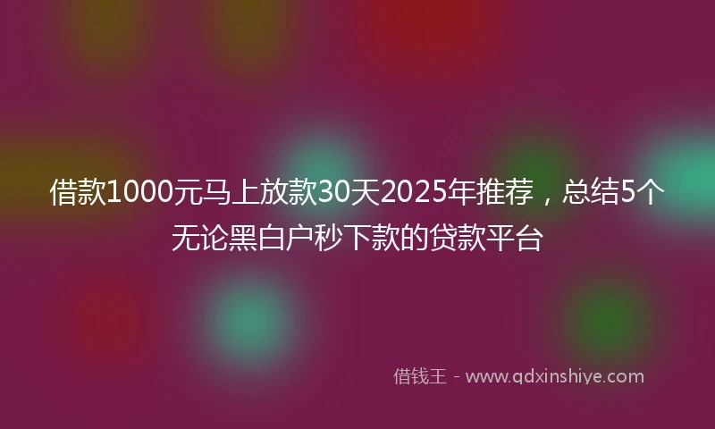 借款1000元马上放款30天2025年推荐，总结5个无论黑白户秒下款的贷款平台