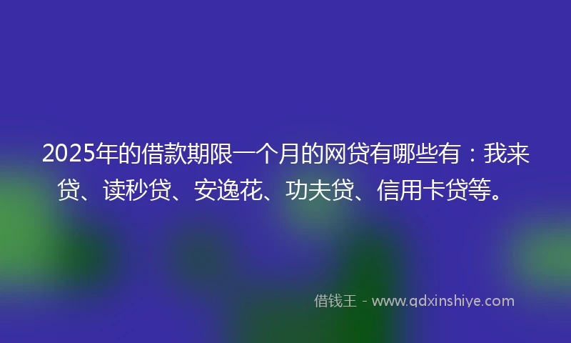 2025年的借款期限一个月的网贷有哪些有：我来贷、读秒贷、安逸花、功夫贷、信用卡贷等。