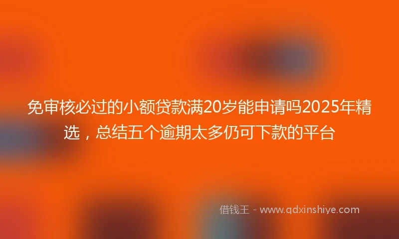 免审核必过的小额贷款满20岁能申请吗2025年精选，总结五个逾期太多仍可下款的平台