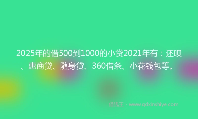 2025年的借500到1000的小贷2021年有：还呗、惠商贷、随身贷、360借条、小花钱包等。