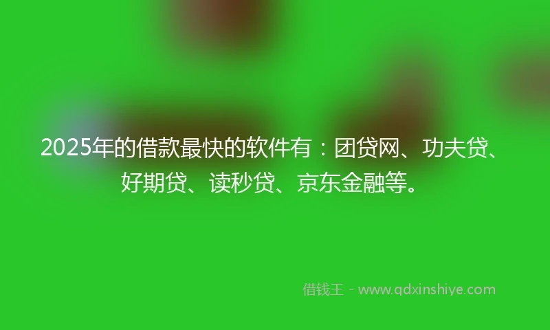2025年的借款最快的软件有：团贷网、功夫贷、好期贷、读秒贷、京东金融等。