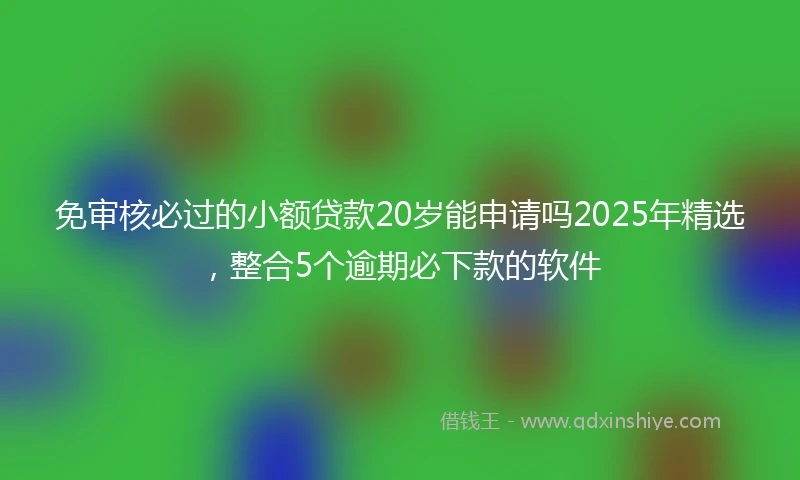 免审核必过的小额贷款20岁能申请吗2025年精选，整合5个逾期必下款的软件