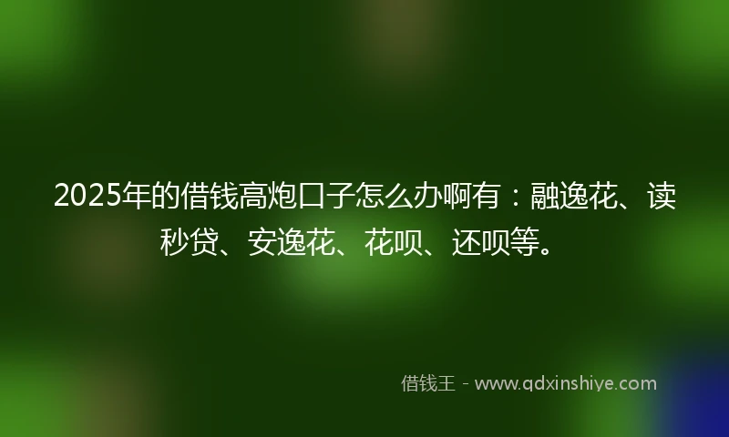 2025年的借钱高炮口子怎么办啊有：融逸花、读秒贷、安逸花、花呗、还呗等。
