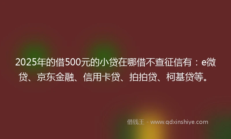 2025年的借500元的小贷在哪借不查征信有：e微贷、京东金融、信用卡贷、拍拍贷、柯基贷等。