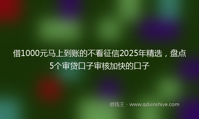 借1000元马上到账的不看征信2025年精选，盘点5个审贷口子审核加快的口子