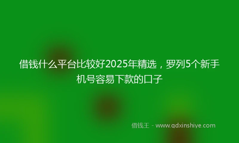 借钱什么平台比较好2025年精选，罗列5个新手机号容易下款的口子