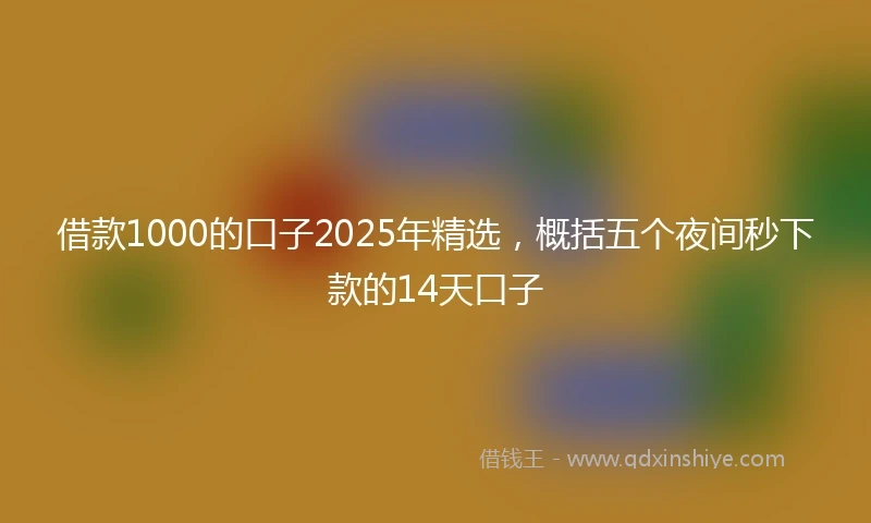 借款1000的口子2025年精选，概括五个夜间秒下款的14天口子