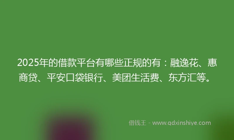 2025年的借款平台有哪些正规的有：融逸花、惠商贷、平安口袋银行、美团生活费、东方汇等。