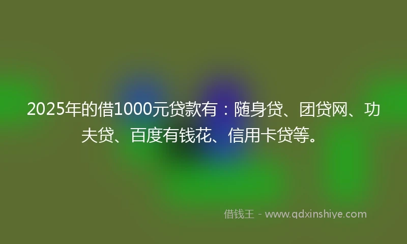 2025年的借1000元贷款有:随身贷、团贷网、功夫贷、百度有钱花、信用卡贷等。