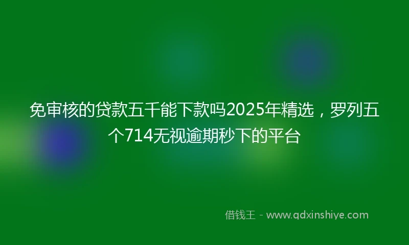 免审核的贷款五千能下款吗2025年精选，罗列五个714无视逾期秒下的平台