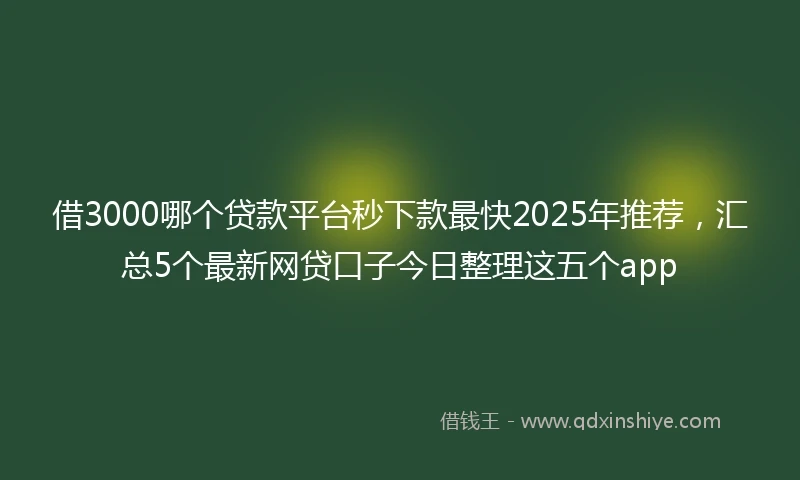 借3000哪个贷款平台秒下款最快2025年推荐，汇总5个最新网贷口子今日整理这五个app