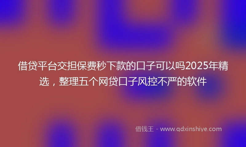 借贷平台交担保费秒下款的口子可以吗2025年精选，整理五个网贷口子风控不严的软件