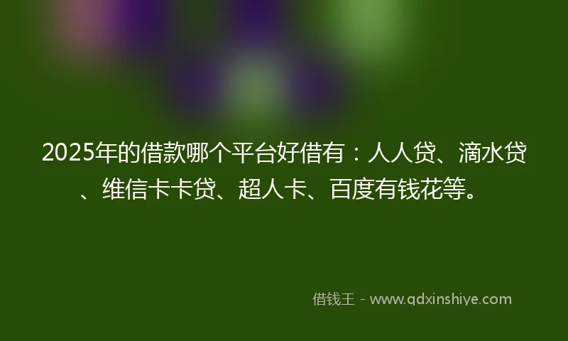 2025年的借款哪个平台好借有：人人贷、滴水贷、维信卡卡贷、超人卡、百度有钱花等。