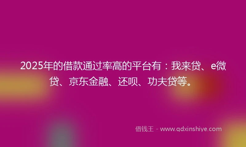 2025年的借款通过率高的平台有：我来贷、e微贷、京东金融、还呗、功夫贷等。