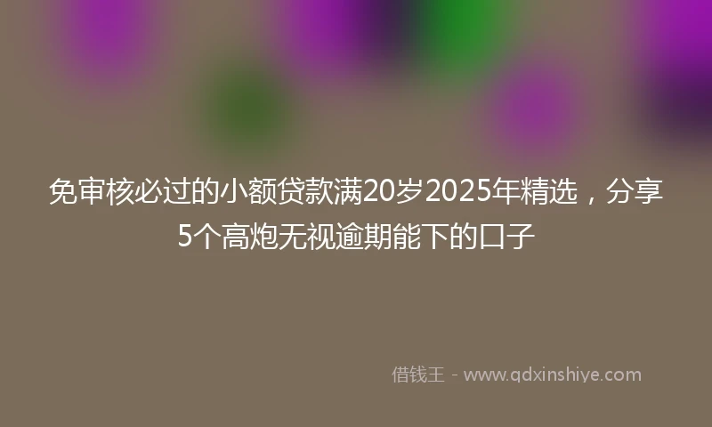 免审核必过的小额贷款满20岁2025年精选，分享5个高炮无视逾期能下的口子