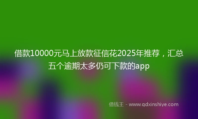 借款10000元马上放款征信花2025年推荐，汇总五个逾期太多仍可下款的app