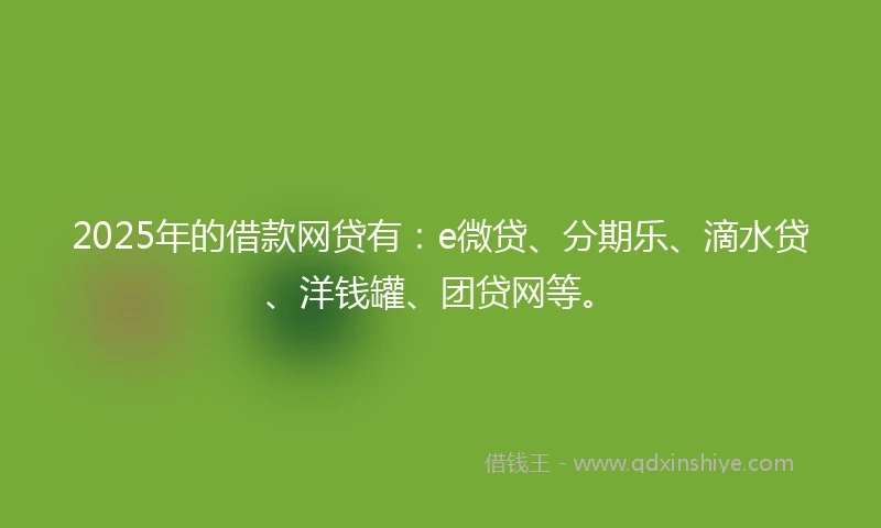 2025年的借款网贷有：e微贷、分期乐、滴水贷、洋钱罐、团贷网等。